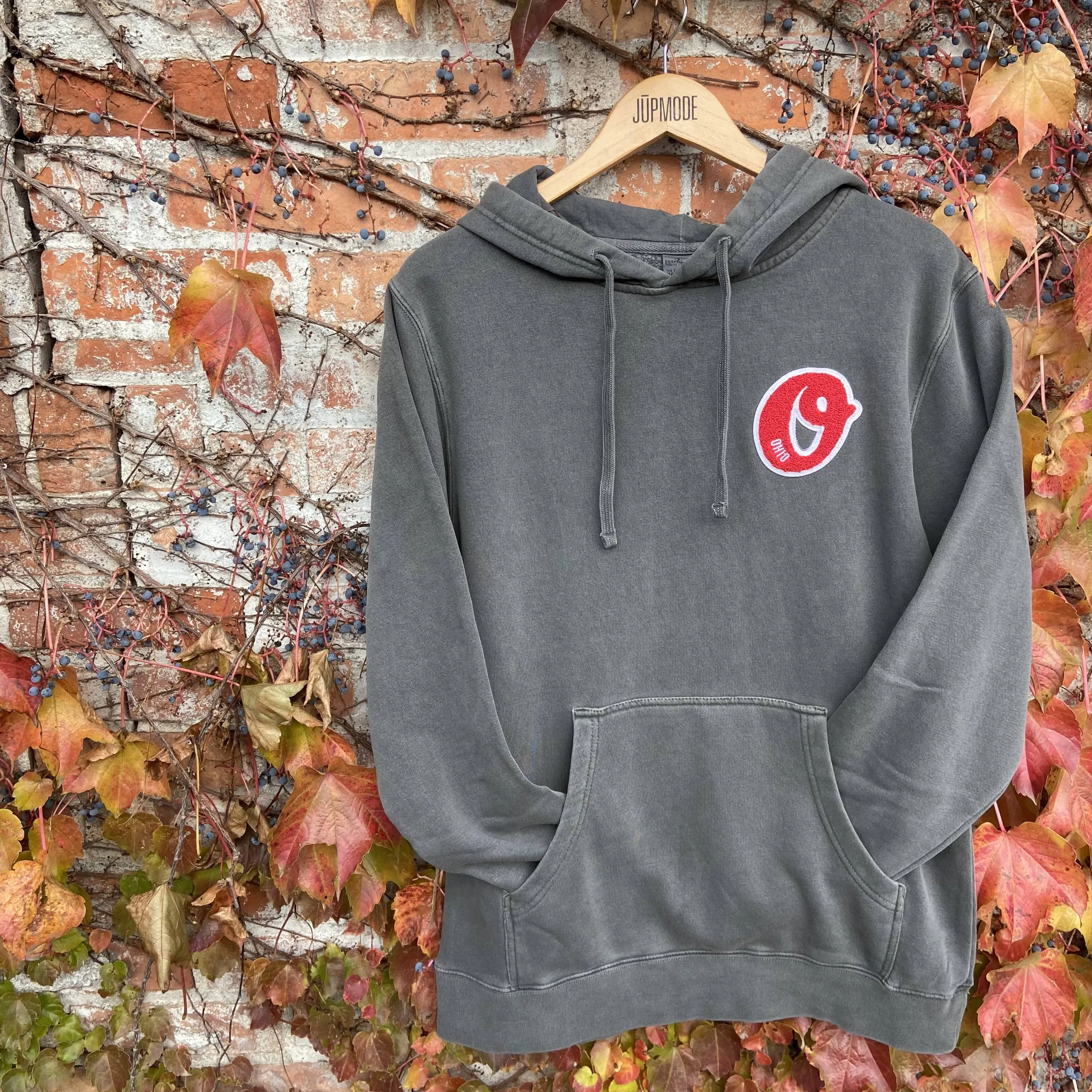 Ohio Chenille Pigment Dyed Hoodie (Discontinued)